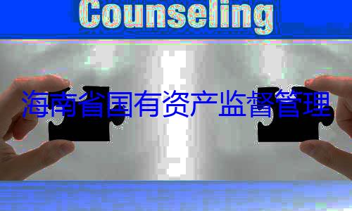 海南省国有资产监督管有福接受审查调查委副书记王理委员会党